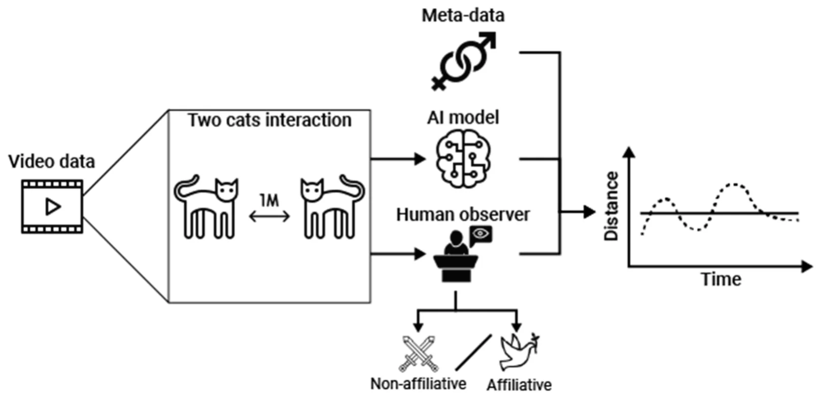 Fig 1. A schematic view of the study’s methodological design.
