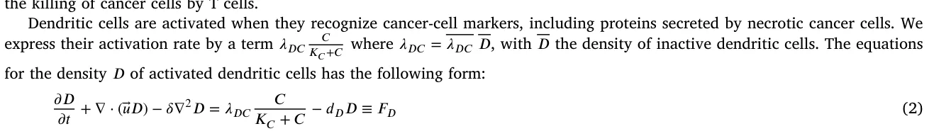 Dendritic cells are activated when they recognize cancer-cell markers, including proteins secreted by necrotic cancer cells. We express their activation rate by a term 𝜆𝐷𝐶 𝐶 𝐾𝐶+𝐶 where 𝜆𝐷𝐶= 𝜆𝐷𝐶𝐷, with 𝐷 the density of inactive dendritic cells. The equations for the density 𝐷 of activated dendritic c