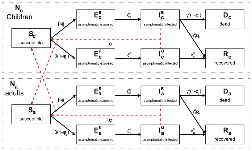 Fig. 1. A schematic view of an individual’s transformation between epidemiological states. The solid arrows indicate a state transformation while the dashed arrows indicate infection interactions.