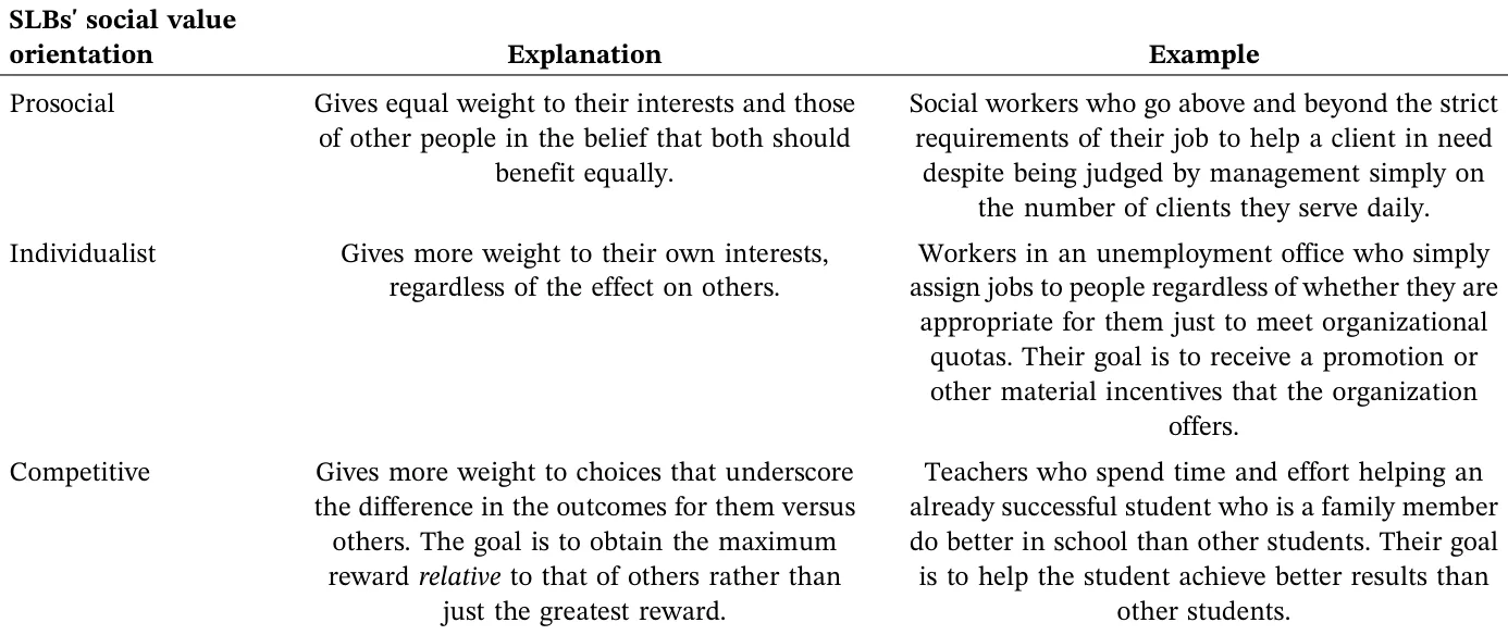TABLE 1 | Types and examples of SLBs' social value orientations.