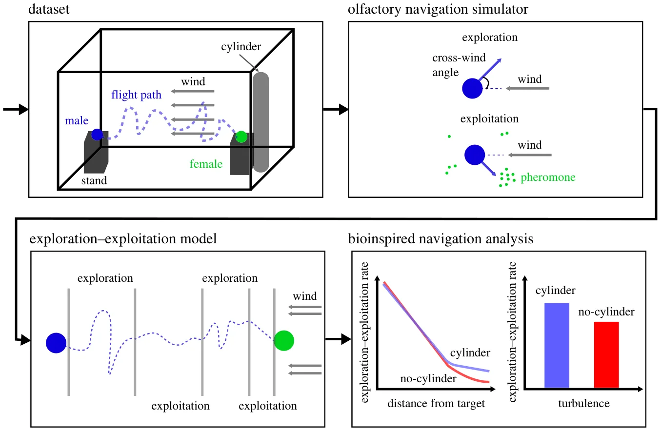 Figure 1. A schematic view of the workflow, starting with the experimental dataset, followed by the olfactory navigation simulator, exploration–exploitation-based model, and a bioinspired analysis for flight navigation strategies.