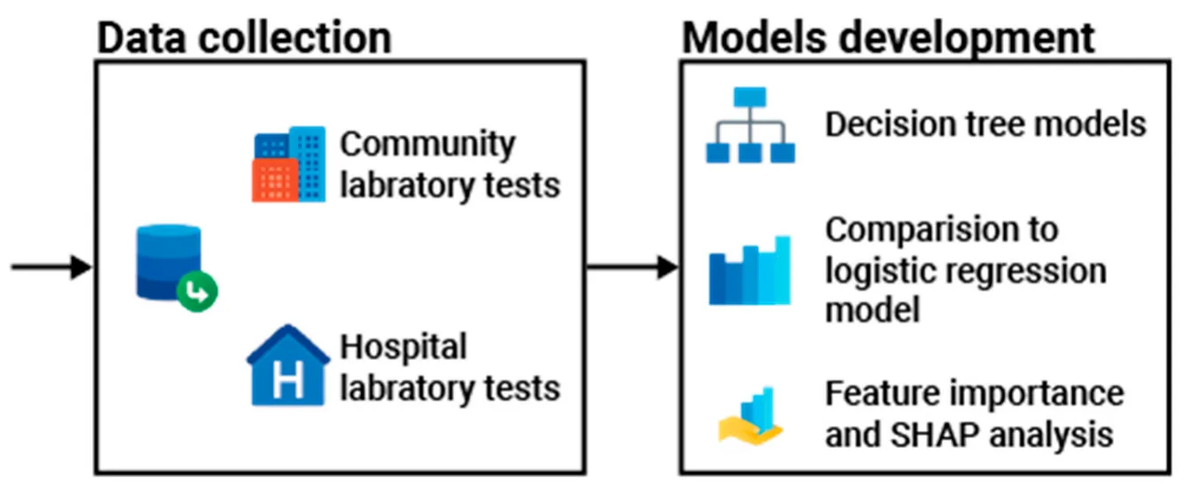 Figure 1. A schematic overview of this study’s methodological framework.