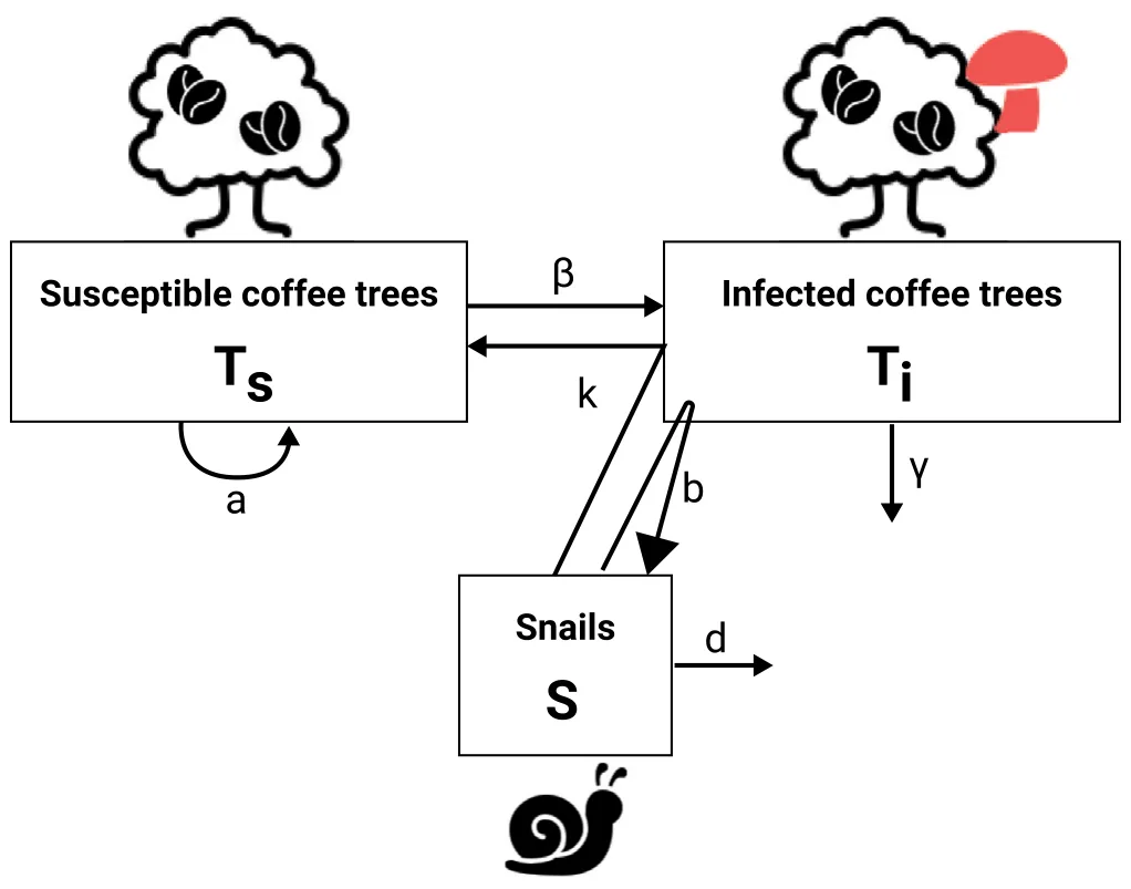 Fig. 1. A schematic view of the proposed model with the three populations and the interactions between them.