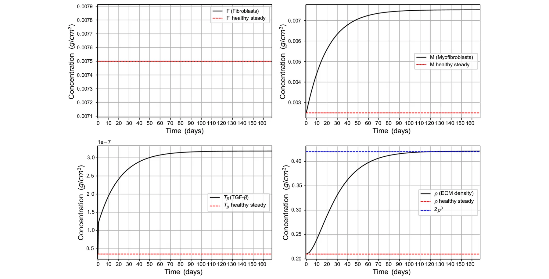 Figure from: Mathematical Modeling of Systemic Sclerosis and Its Treatment