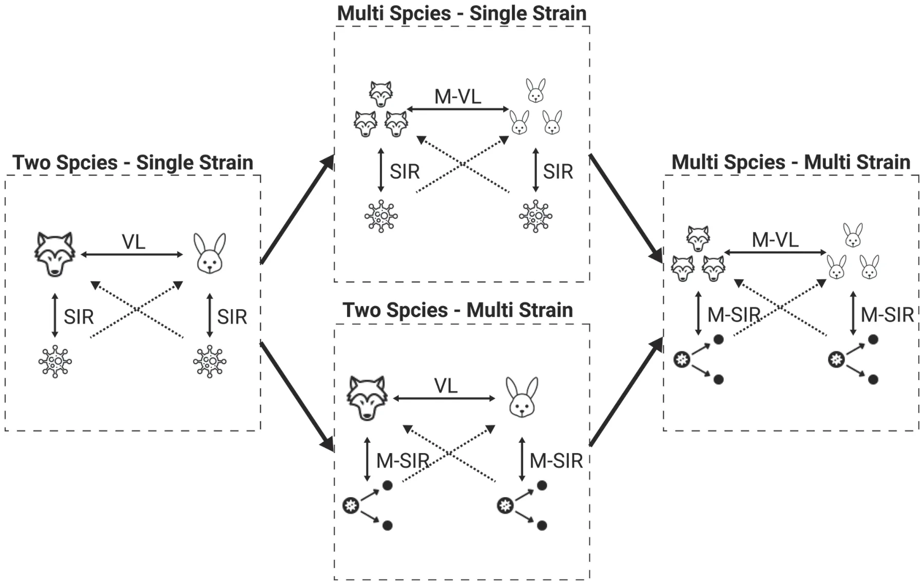 FIG. 1. A schematic view of the model’s structure and the connections between them.