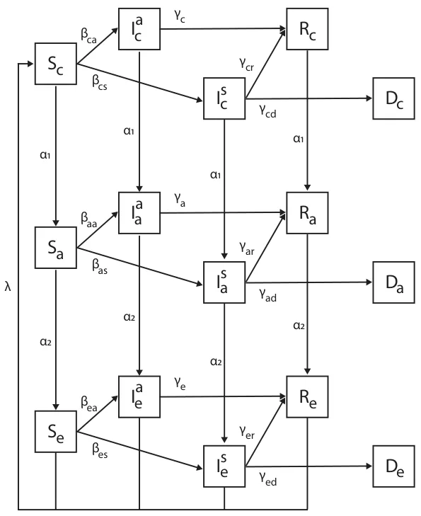 Figure 1. Schematic view of the three age group SIIRD model with transition between disease stages, divided by age groups. Each node is an epidemiological age state in the form of Xy, where X ∈ [S, Ia, Is, R, D] is the epidemiological state and y ∈ [c, a, e] is the age group. The edges are the possible transformation, and the value next to them indicates the rate of the population that moves from the source node to the target node. A detailed description of the dynamics is presented in Equations (1)–(15).
