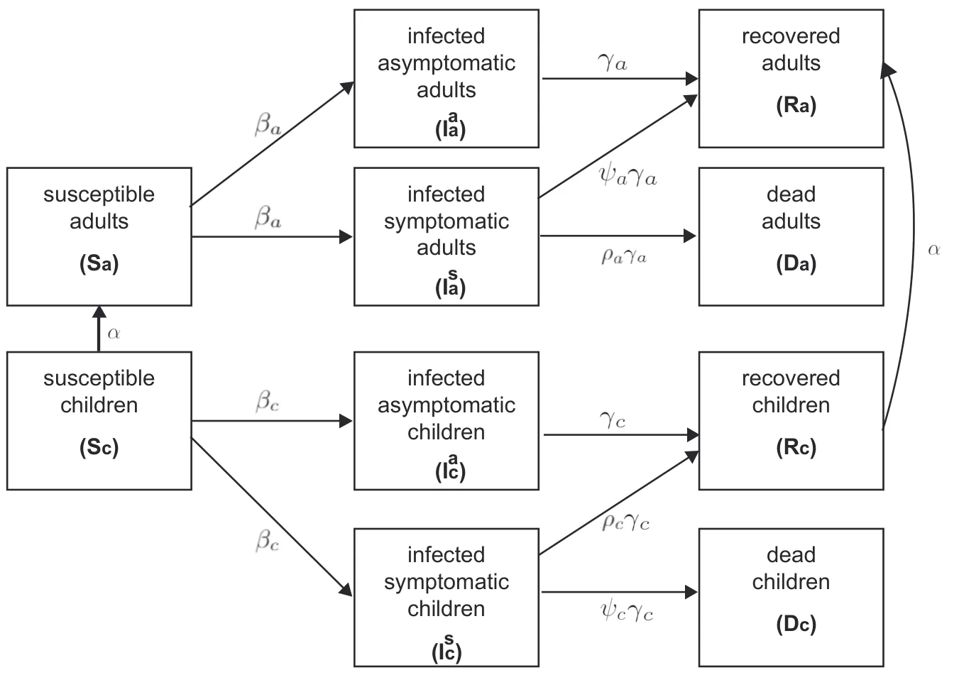 Figure 2: Schematic view of transition between disease stages, divided by age-class.