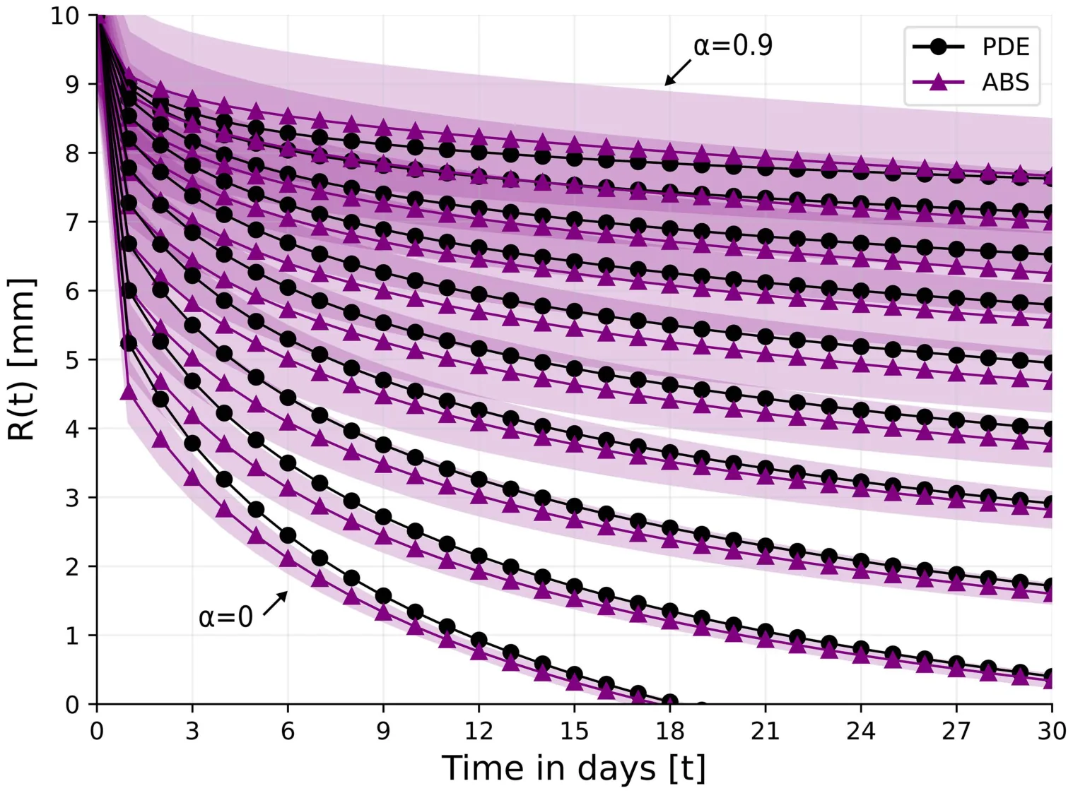 Figure from: PDE and agent based simulation approaches to Ischemic Dermal Wound Closure