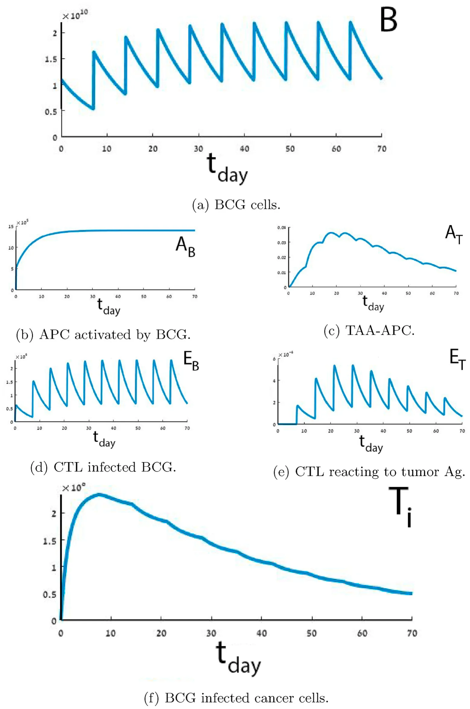 Fig. 2. Numerical simulation of trajectories of Eq. (1 - 14) using Eq. (15 - 17)) with the parameter values from Table 3. The graphs show the evolution in time (days) of B(t, r), A(t, r), AB(t, r), EB(t, r), ET(t, r), and Ti(t, r).