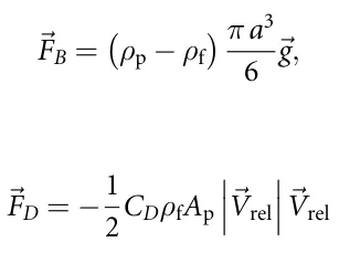 FB = ρp −ρf πa3 6⃗g, FD = −1 2CDρfAp ⃗Vrel ⃗Vrel