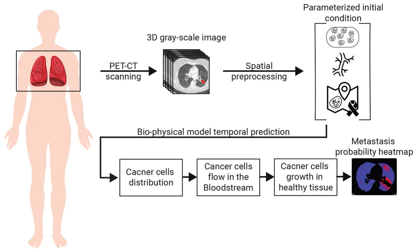 FIGURE 1 A schematic view of the model’s components and the interactions between them.