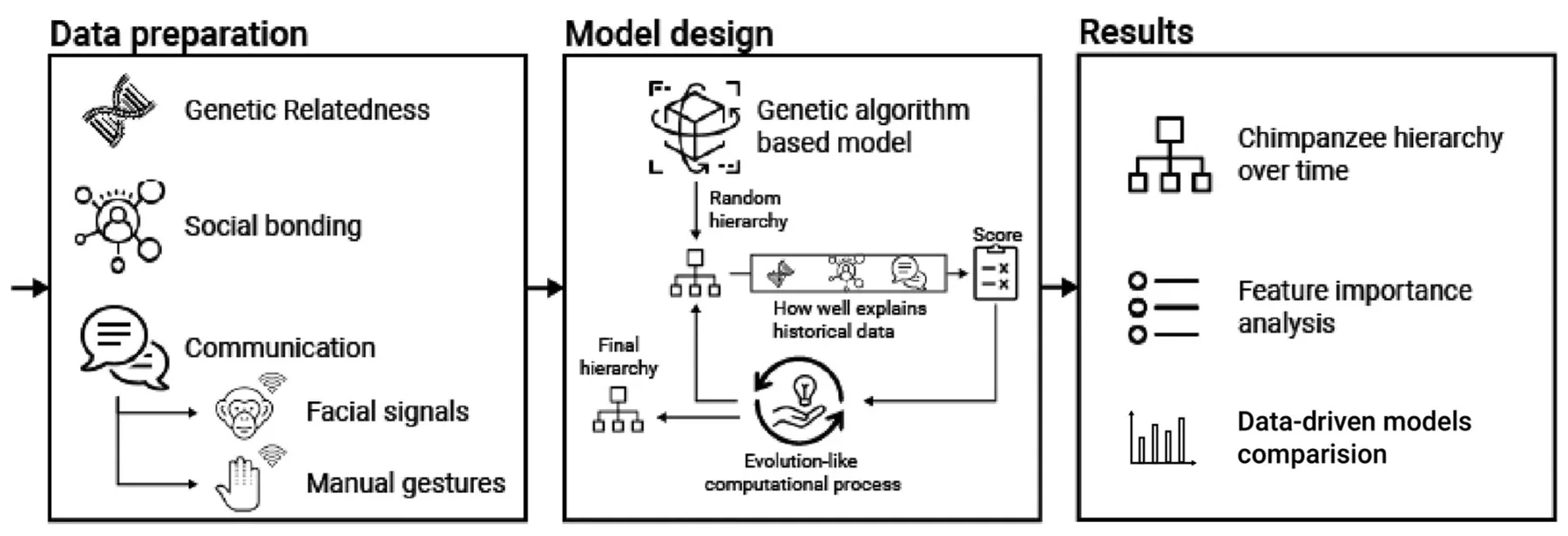FIGURE 1 A schematic view of the study’s design.