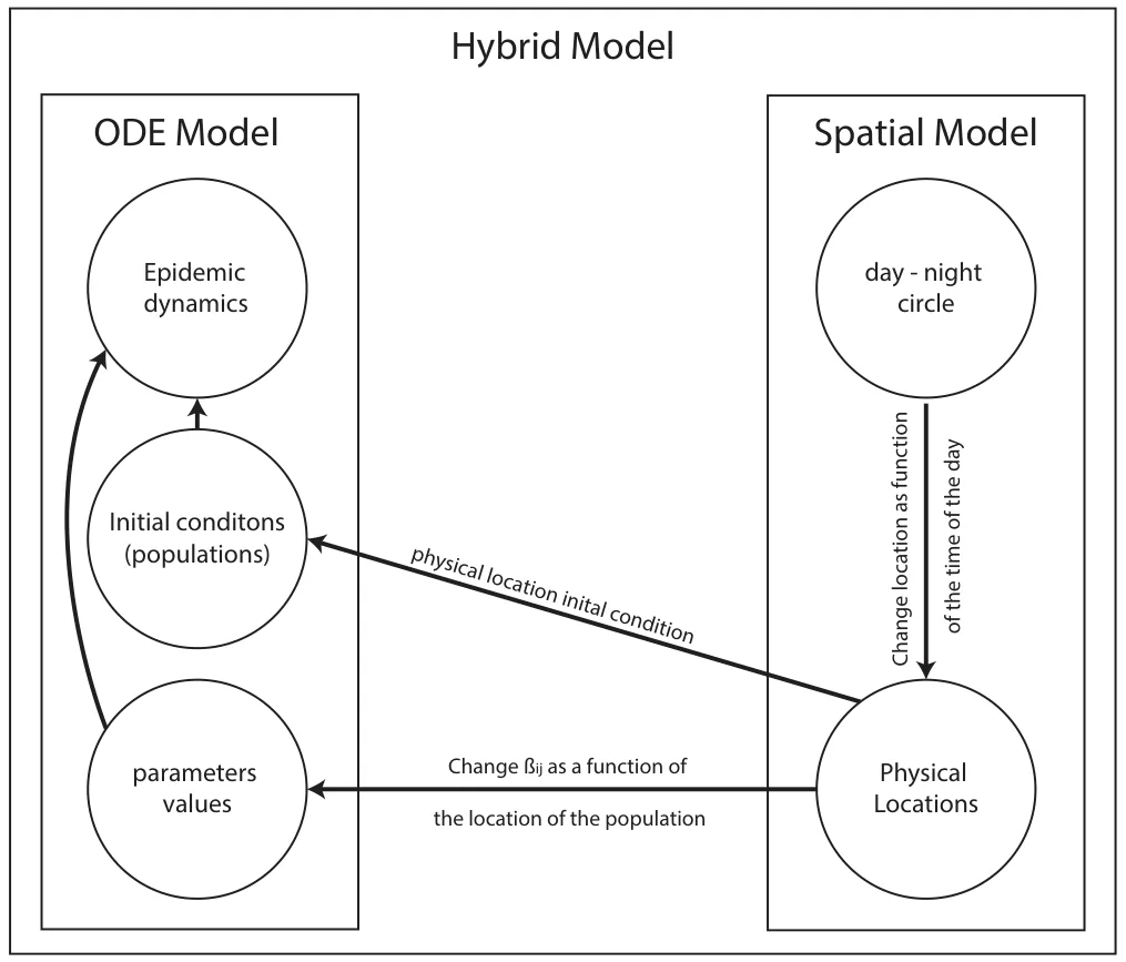 Figure 1. Schematic view of the hybrid model’s components and relationship between the ODE and the spatial models.