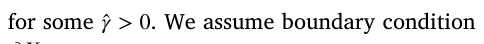 for somê 𝛾 > 0. We assume boundary condition