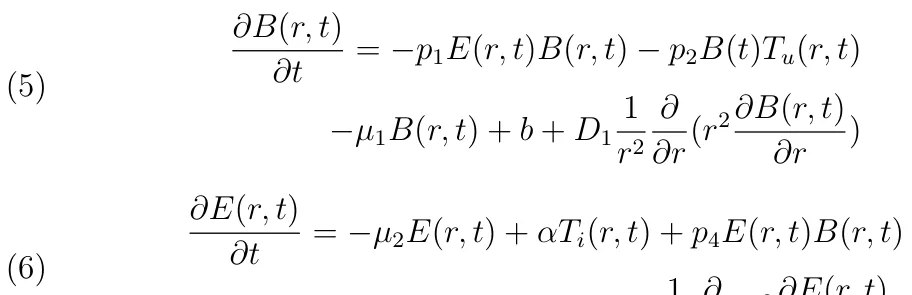 ∂B(r, t) ∂t = −p1E(r, t)B(r, t) −p2B(t)Tu(r, t) −µ1B(r, t) + b + D1 1 r2 ∂ ∂r(r2∂B(r, t) ∂r ) (5) ∂E(r, t) ∂t = −µ2E(r, t) + αTi(r, t) + p4E(r, t)B(r, t) (6)
